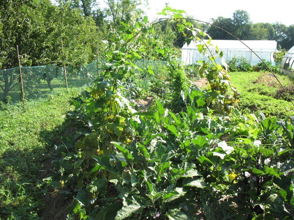 Bioagriturismo Vegan Campo Di Cielo Cesiomaggiore Eksteriør bilde